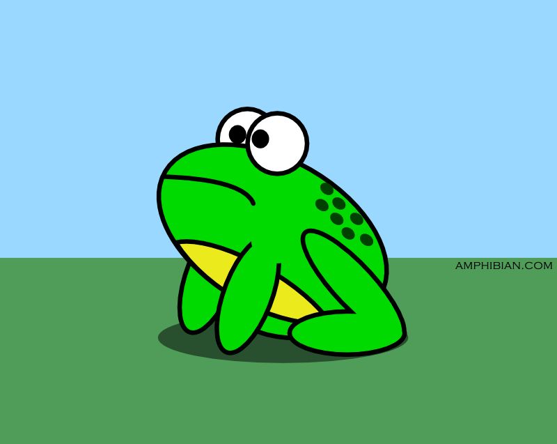 High Quality amphibian.com 1 Blank Meme Template