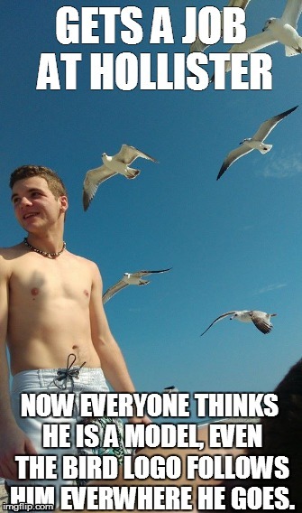 Hollister Model | image tagged in hollister,white,guy,college,beach,logo | made w/ Imgflip meme maker