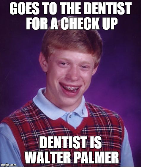 Bad Luck Brian Meme | GOES TO THE DENTIST FOR A CHECK UP DENTIST IS WALTER PALMER | image tagged in memes,bad luck brian | made w/ Imgflip meme maker