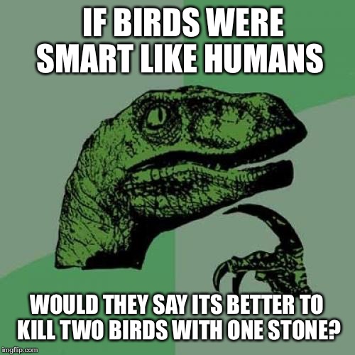 Philosoraptor | IF BIRDS WERE SMART LIKE HUMANS WOULD THEY SAY ITS BETTER TO KILL TWO BIRDS WITH ONE STONE? | image tagged in memes,philosoraptor | made w/ Imgflip meme maker