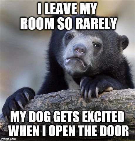 Confession Bear | I LEAVE MY ROOM SO RARELY MY DOG GETS EXCITED WHEN I OPEN THE DOOR | image tagged in memes,confession bear | made w/ Imgflip meme maker