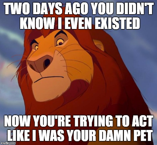 Lion King | TWO DAYS AGO YOU DIDN'T KNOW I EVEN EXISTED NOW YOU'RE TRYING TO ACT LIKE I WAS YOUR DAMN PET | image tagged in lion king | made w/ Imgflip meme maker