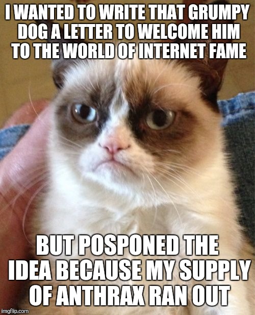 Grumpy Cat Meme | I WANTED TO WRITE THAT GRUMPY DOG A LETTER TO WELCOME HIM TO THE WORLD OF INTERNET FAME BUT POSPONED THE IDEA BECAUSE MY SUPPLY OF ANTHRAX R | image tagged in memes,grumpy cat | made w/ Imgflip meme maker