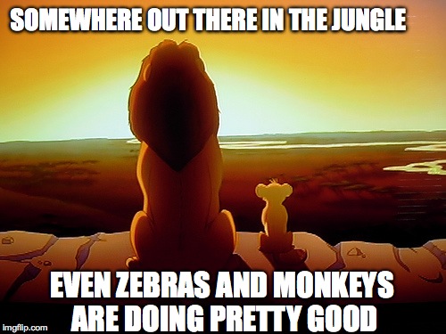Lion King Meme | SOMEWHERE OUT THERE IN THE JUNGLE EVEN ZEBRAS AND MONKEYS ARE DOING PRETTY GOOD | image tagged in memes,lion king | made w/ Imgflip meme maker