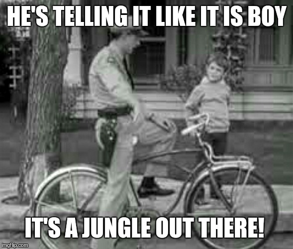 HE'S TELLING IT LIKE IT IS BOY IT'S A JUNGLE OUT THERE! | made w/ Imgflip meme maker