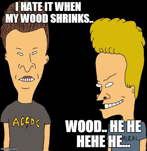 Beavis & Butthead | I HATE IT WHEN MY WOOD SHRINKS.. WOOD.. HE HE HEHE HE... | image tagged in beavis  butthead | made w/ Imgflip meme maker