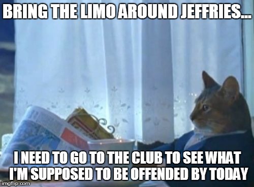 I Should Buy A Boat Cat Meme | BRING THE LIMO AROUND JEFFRIES... I NEED TO GO TO THE CLUB TO SEE WHAT I'M SUPPOSED TO BE OFFENDED BY TODAY | image tagged in memes,i should buy a boat cat | made w/ Imgflip meme maker