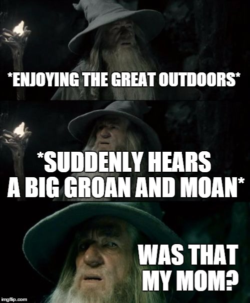 Confused Gandalf | *ENJOYING THE GREAT OUTDOORS* *SUDDENLY HEARS A BIG GROAN AND MOAN* WAS THAT MY MOM? | image tagged in memes,confused gandalf | made w/ Imgflip meme maker