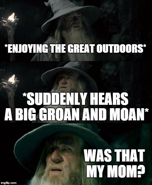 Confused Gandalf Meme | *ENJOYING THE GREAT OUTDOORS* *SUDDENLY HEARS A BIG GROAN AND MOAN* WAS THAT MY MOM? | image tagged in memes,confused gandalf | made w/ Imgflip meme maker