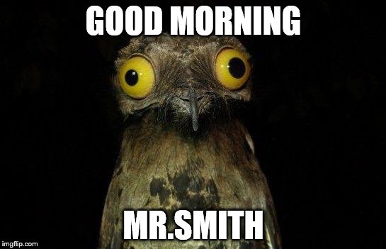 Crazy eyed bird | GOOD MORNING MR.SMITH | image tagged in crazy eyed bird | made w/ Imgflip meme maker