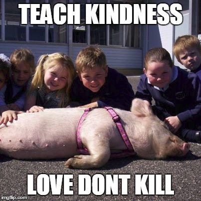 TEACH KINDNESS LOVE DONT KILL | image tagged in pig,vegan,kindness,love,children,campaigning | made w/ Imgflip meme maker