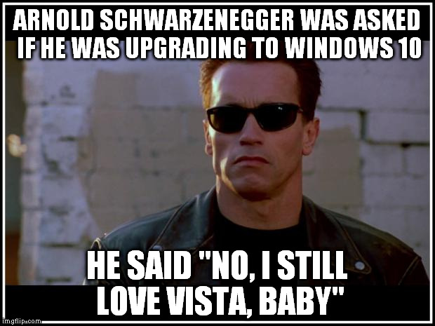 I Still Love Vista, Baby | ARNOLD SCHWARZENEGGER WAS ASKED IF HE WAS UPGRADING TO WINDOWS 10 HE SAID "NO, I STILL LOVE VISTA, BABY" | image tagged in arnold schwarzenegger terminator,funny | made w/ Imgflip meme maker