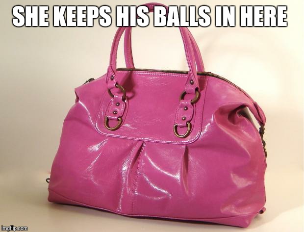 Pursey | SHE KEEPS HIS BALLS IN HERE | image tagged in pursey | made w/ Imgflip meme maker