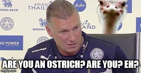 ARE YOU AN OSTRICH? ARE YOU? EH? | made w/ Imgflip meme maker