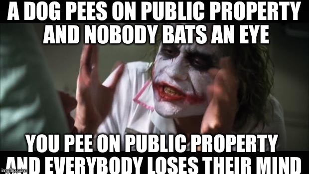 And everybody loses their minds | A DOG PEES ON PUBLIC PROPERTY AND NOBODY BATS AN EYE YOU PEE ON PUBLIC PROPERTY AND EVERYBODY LOSES THEIR MIND | image tagged in memes,and everybody loses their minds | made w/ Imgflip meme maker