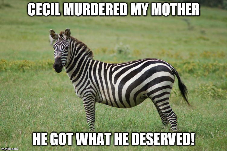 Oreo the Zebra | CECIL MURDERED MY MOTHER HE GOT WHAT HE DESERVED! | image tagged in cecil,lion killer,big game hunting,animals | made w/ Imgflip meme maker
