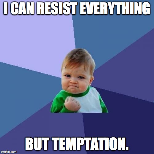 Success Kid Meme | I CAN RESIST EVERYTHING BUT TEMPTATION. | image tagged in memes,success kid | made w/ Imgflip meme maker