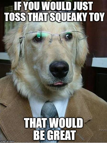 Corporate dog | IF YOU WOULD JUST TOSS THAT SQUEAKY TOY THAT WOULD BE GREAT | image tagged in corporate dog | made w/ Imgflip meme maker