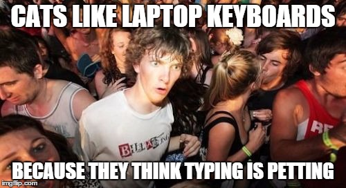 Sudden Clarity Clarence Meme | CATS LIKE LAPTOP KEYBOARDS BECAUSE THEY THINK TYPING IS PETTING | image tagged in memes,sudden clarity clarence,AdviceAnimals | made w/ Imgflip meme maker