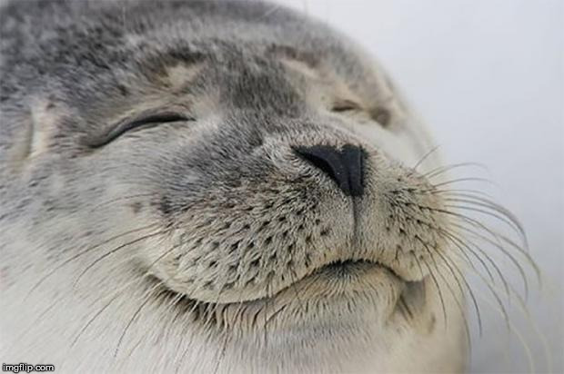 Satisfied Seal | image tagged in memes,satisfied seal,AdviceAnimals | made w/ Imgflip meme maker