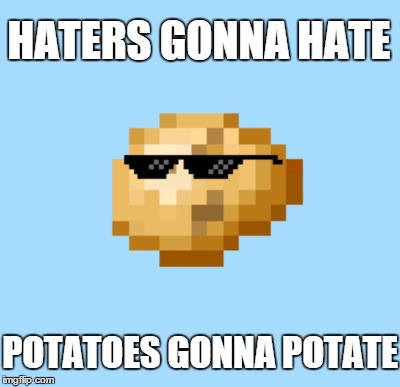 HATERS GONNA HATE POTATOES GONNA POTATE | made w/ Imgflip meme maker
