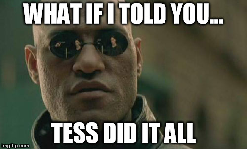 Matrix Morpheus Meme | WHAT IF I TOLD YOU... TESS DID IT ALL | image tagged in memes,matrix morpheus | made w/ Imgflip meme maker