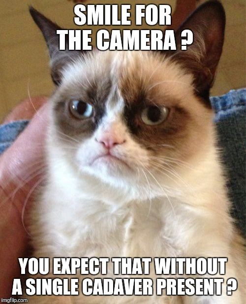 Grumpy Cat | SMILE FOR THE CAMERA ? YOU EXPECT THAT WITHOUT A SINGLE CADAVER PRESENT ? | image tagged in memes,grumpy cat | made w/ Imgflip meme maker