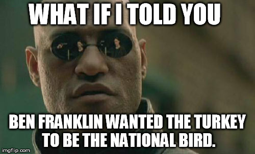 Matrix Morpheus Meme | WHAT IF I TOLD YOU BEN FRANKLIN WANTED THE TURKEY TO BE THE NATIONAL BIRD. | image tagged in memes,matrix morpheus | made w/ Imgflip meme maker