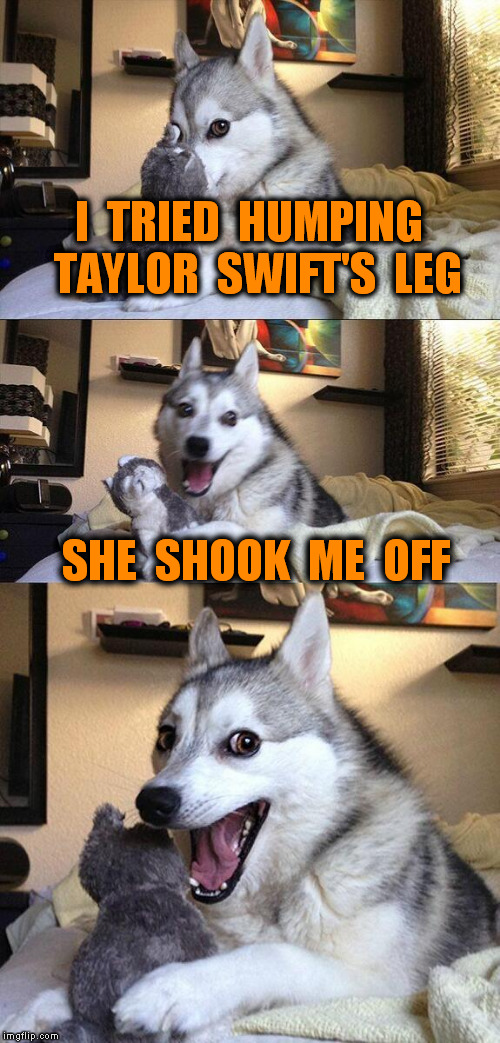 Bad Pun Dog | I  TRIED  HUMPING  TAYLOR  SWIFT'S  LEG SHE  SHOOK  ME  OFF | image tagged in memes,bad pun dog | made w/ Imgflip meme maker