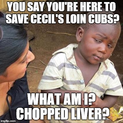 First World Kate comes to help cure the brutality in the Third World. . . | YOU SAY YOU'RE HERE TO SAVE CECIL'S LOIN CUBS? WHAT AM I? CHOPPED LIVER? | image tagged in memes,third world skeptical kid,cecil the lion | made w/ Imgflip meme maker