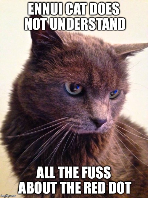 The Red Dot | ENNUI CAT DOES NOT UNDERSTAND ALL THE FUSS ABOUT THE RED DOT | image tagged in ennui cat,red dot | made w/ Imgflip meme maker