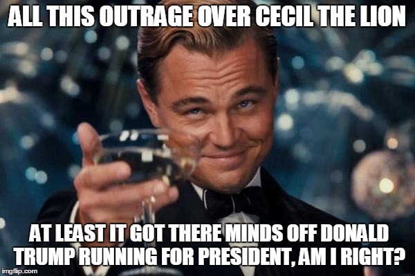 Leonardo Dicaprio Cheers Meme | ALL THIS OUTRAGE OVER CECIL THE LION AT LEAST IT GOT THERE MINDS OFF DONALD TRUMP RUNNING FOR PRESIDENT, AM I RIGHT? | image tagged in memes,leonardo dicaprio cheers | made w/ Imgflip meme maker