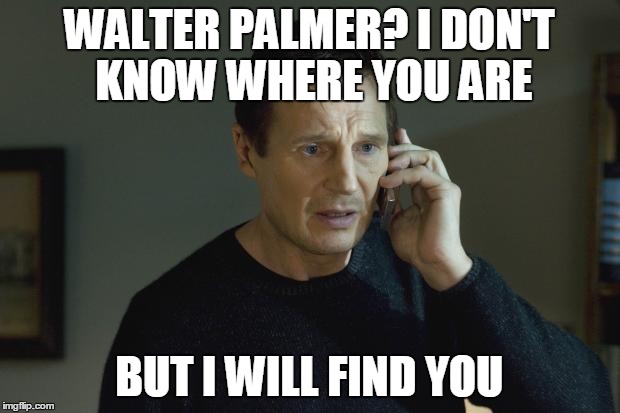 I don't know who you are | WALTER PALMER? I DON'T KNOW WHERE YOU ARE BUT I WILL FIND YOU | image tagged in i don't know who you are | made w/ Imgflip meme maker