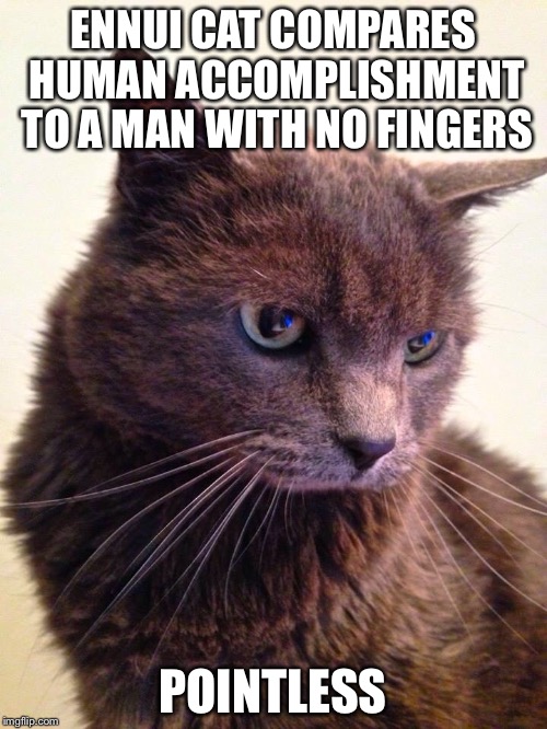 Pointlessness | ENNUI CAT COMPARES HUMAN ACCOMPLISHMENT TO A MAN WITH NO FINGERS POINTLESS | image tagged in ennui cat,pointless | made w/ Imgflip meme maker