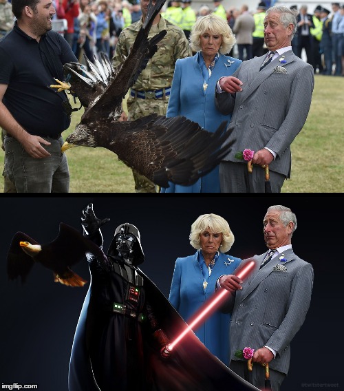 Prince Charles vs. Bald Eagle | image tagged in prince charles vs eagle,star wars,darth vader | made w/ Imgflip meme maker