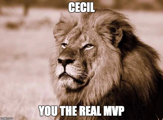 cecil lion | CECIL YOU THE REAL MVP | image tagged in cecil lion | made w/ Imgflip meme maker
