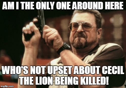 Am I The Only One Around Here | AM I THE ONLY ONE AROUND HERE WHO'S NOT UPSET ABOUT CECIL THE LION BEING KILLED! | image tagged in memes,am i the only one around here | made w/ Imgflip meme maker