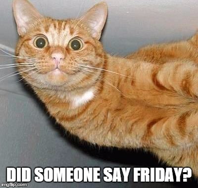Did Someone Say Friday? | DID SOMEONE SAY FRIDAY? | image tagged in tgif,friday face | made w/ Imgflip meme maker