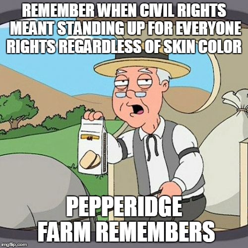 Pepperidge Farm Remembers | REMEMBER WHEN CIVIL RIGHTS MEANT STANDING UP FOR EVERYONE RIGHTS REGARDLESS OF SKIN COLOR PEPPERIDGE FARM REMEMBERS | image tagged in memes,pepperidge farm remembers | made w/ Imgflip meme maker