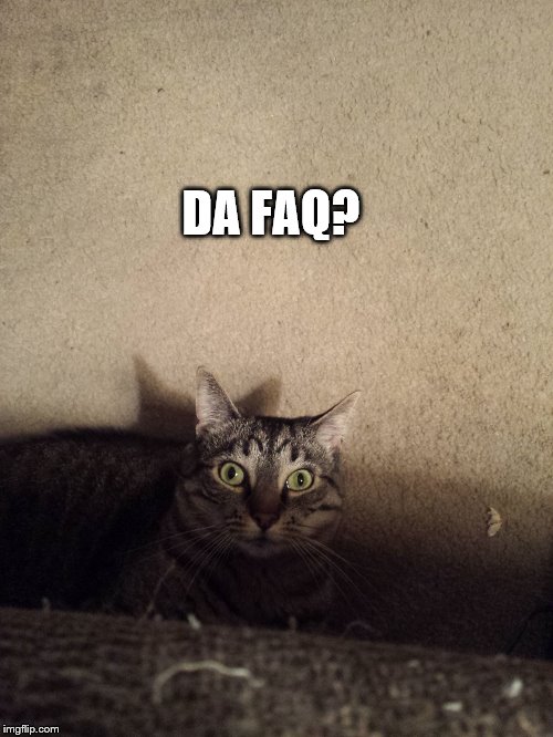 DA FAQ? | image tagged in da faq | made w/ Imgflip meme maker