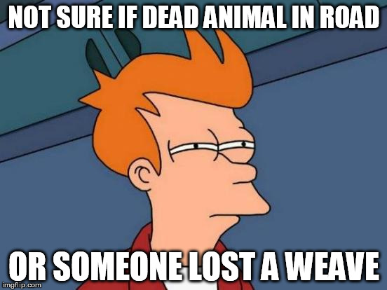 The trials and tribulations of living in the city | NOT SURE IF DEAD ANIMAL IN ROAD OR SOMEONE LOST A WEAVE | image tagged in memes,futurama fry | made w/ Imgflip meme maker