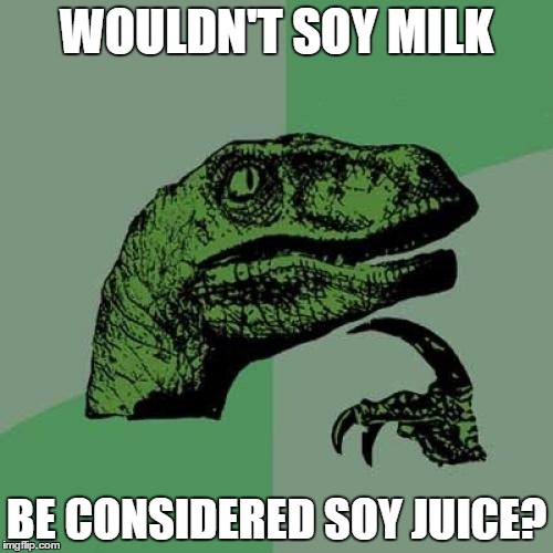 Philosoraptor | WOULDN'T SOY MILK BE CONSIDERED SOY JUICE? | image tagged in memes,philosoraptor | made w/ Imgflip meme maker