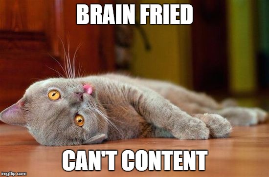derpcat | BRAIN FRIED CAN'T CONTENT | image tagged in derpcat | made w/ Imgflip meme maker
