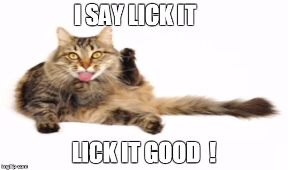 I say lick it | I SAY LICK IT LICK IT GOOD  ! | image tagged in lick it,lick it good | made w/ Imgflip meme maker