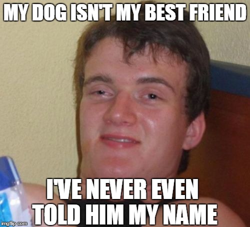 10 Guy Meme | MY DOG ISN'T MY BEST FRIEND I'VE NEVER EVEN TOLD HIM MY NAME | image tagged in memes,10 guy,see | made w/ Imgflip meme maker