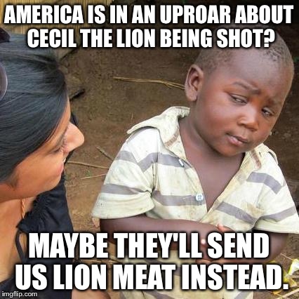 Third World Skeptical Kid Meme | AMERICA IS IN AN UPROAR ABOUT CECIL THE LION BEING SHOT? MAYBE THEY'LL SEND US LION MEAT INSTEAD. | image tagged in memes,third world skeptical kid | made w/ Imgflip meme maker