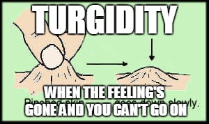 Turgidity | TURGIDITY WHEN THE FEELING'S GONE AND YOU CAN'T GO ON | image tagged in tragedy,bee gees,turgidity | made w/ Imgflip meme maker