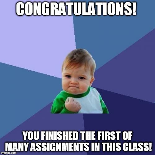 Success Kid Meme | CONGRATULATIONS! YOU FINISHED THE FIRST OF MANY ASSIGNMENTS IN THIS CLASS! | image tagged in memes,success kid | made w/ Imgflip meme maker
