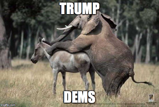 TRUMP DEMS | image tagged in elephant ass | made w/ Imgflip meme maker
