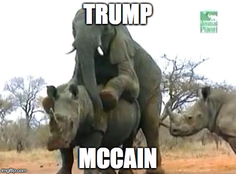 Elephant Rapes Rhino | TRUMP MCCAIN | image tagged in elephant rapes rhino | made w/ Imgflip meme maker